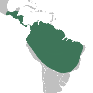 Mapa de distribucion de Phragmipedium