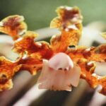 Orquídeas Laelia - Historia, Curiosidades y Cómo Cuidar