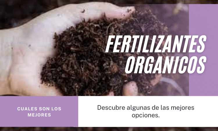 Abonos organicos para orquideas