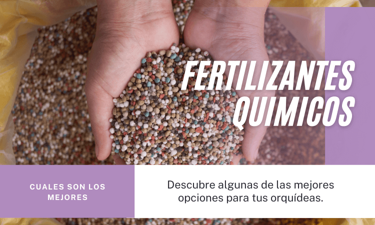 Abonos quimicos para orquideas