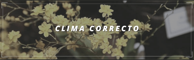 CLIMA CORRECTO