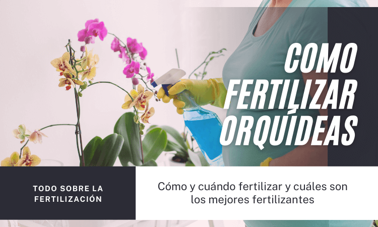 Como fertilizar orquideas