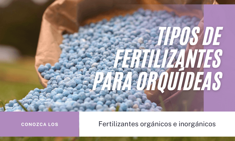 Fertilizantes para orquideas