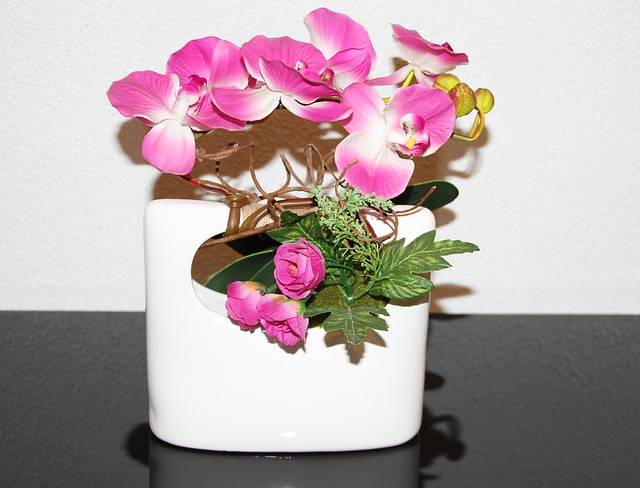 Pon en el lugar correcto la orquidea