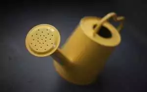 Regadera