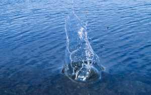 Tipo de agua