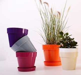 Vasos de plastico