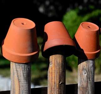 Vasos de terracota